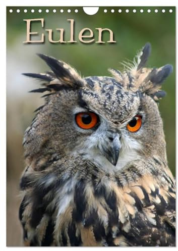 Eulen (Wandkalender 2026 DIN A4 hoch), CALVENDO Monatskalender: Lautlose Jäger der Nacht (CALVENDO Tiere)