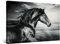 Startonight Bilder Schwarzes Pferd Läuft - Leinwandbilder Moderne Kunst - Tiere Wanddeko Kunstdrucke, Wandbilder Schlafzimmer 60 x 90 cm, Tag Nacht Effekt, Elegante Geschenkidee Wand Deko