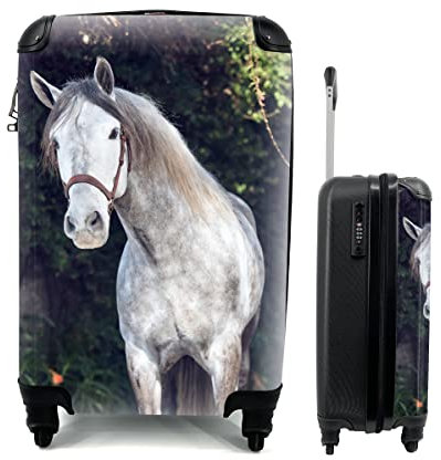 MuchoWow© Koffer Handgepäck Trolley Rollkoffer Kleine Reisekoffer mit 4 Rollen - Pferd - Halfter - Natur - Cabin Size < 55x40x23 & 55x40x20 cm - Fotokoffer - Kabinenkoffer - Boardgepäck