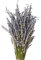Pomurom Bouquet Fiori Secchi di Lavanda 40cm Lunghi, Mazzo Essiccato Naturale per Decorazione Domestica, Matrimonio o Qualsiasi Occasione