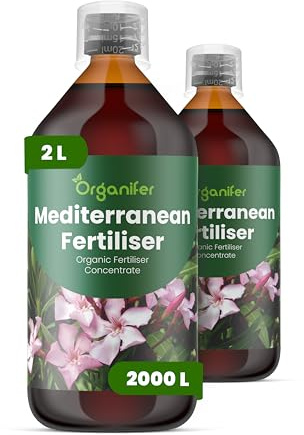 Mediterranean Pflanzen Flüssigdünger - 2x1L - NPK 3-4-3 | Für Olive Zitrus Feige Oleander Lavendel - Organifer