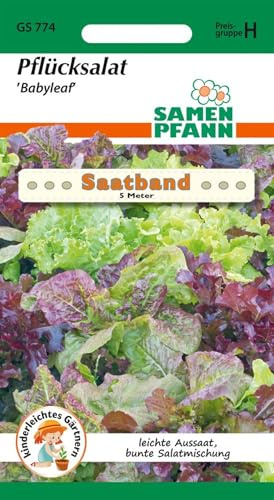SAMEN PFANN® Pflücksalat, Baby Leaf Mischung Saatband Gemüse-Samen Saatgut Salat-Samen Samen (Lactuca sativa)