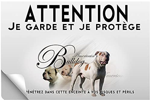 Stick Attention au chien american bulldog