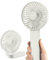 EasyAcc Ventilateur à Main, Ventilateur Portable Silencieux Puissant Table Ventilateur [4 vitesses/Rappel de Batterie/5 lames/Nettoyage Facile] 3-13H One Touch Power Off Pour Voyage Extérieur