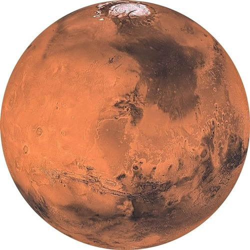 Komar D1-018 Dot Papier peint autocollant rond Rouge