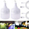 Farol de Acampada 2PCS Bombillas LED USB 50W Bombilla de Luz LED Portátil, USB Lámpara de Camping Modos Regulables, Lámparas Linterna para Jardín Patio Tienda Pesca