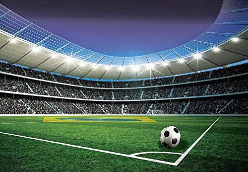 ZHEN WALLPAPER Fußballstadion Sport - Fototapete - Wandbild - Einfach zu installierendes Papier - Riesenwandplakat * 430 cm x 300 cm (169,3 x 118,1 Zoll)