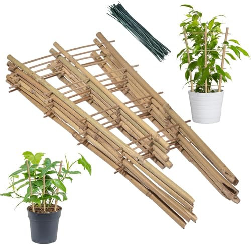 Bambooo Fan Pot Ladder Trellis | Climbing Plant Trainer | Bambooo Cane Plant Pot Fan Trellis | Frame Stake Stick Pole | Garden Planter Climbing Plant Support For Climbing Plants