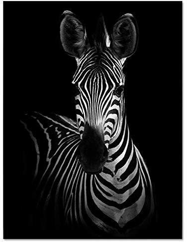Bilder Auf Leinwand,Schwarze Und Weiße Tier Zebra, Fashion Dekor Leinwand Gemälde Kunstdruck Poster Bild Wand Schlafzimmer Wohnzimmer Dekoration Malerei Wandbild