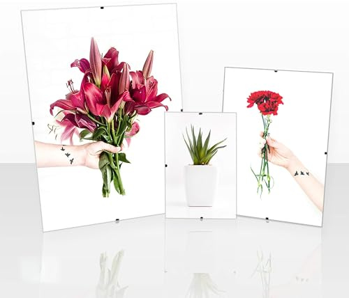 Clippo Rahmenloser Bilderrahmen Posterrahmen 33x48 cm Cliprahmen Bildhalter 48x33 cm mit Rückwand und spiegelfreiem Antireflex Kunstglas 1 mm