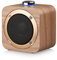 Halterrego Enceinte Bluetooth en Bois, BT V5.0, RMS 3W, Batterie Rechargeable de 1200mAh.
