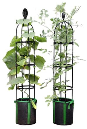 Obelisk-Kletterhilfe, Clematis-Kletterhilfe, Kletterpflanze, Kletterhilfe, Kunststoffbeschichtung, Rosen, Tomaten, Kletterpflanzen, Zimmerpflanzen, Gartenpflanzen (Größe: 85/115/145/175cm)(25.4x175cm/