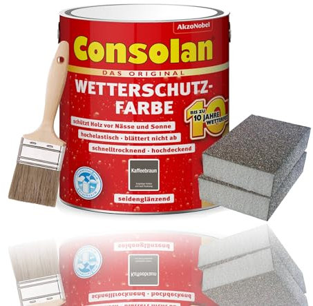Consolan Kit de peinture de protection contre les intempéries - 2,5 l - Peinture pour bois - Protection durable - Couvrante avec accessoires - Marron café