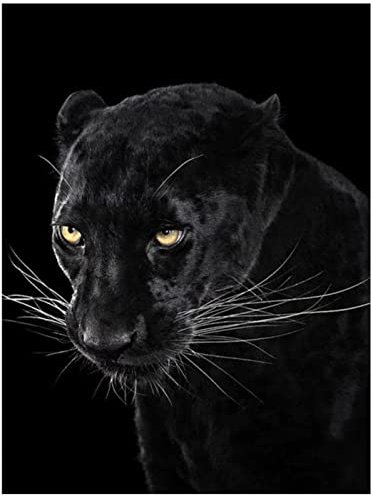 VAKUUM Diamond Painting Kits for Adults Black Panther Diamond Art 5D Colour with Diamonds DIY Painting Kit by Colour with Gem Art Drill and Painting30*40cm5D143m