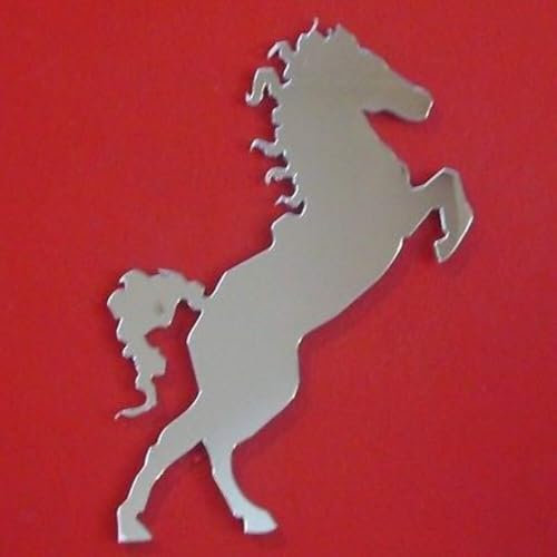Spiegel für Pferde, 12 x 9 cm