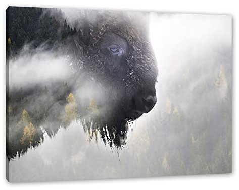 Pixxprint Wildes Bison in nebeligem Wald, Größe: 120x80cm, Leinwandbild, fertig gespannt, Wandbild, Dekoration, Kunstdruck, kein Poster