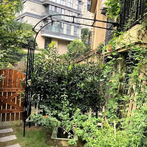 Pergola en métal avec large 90 x 240 x 40 cm demi-arche latérale pour plantes grimpantes, idéale pour le jardin, les arches de mariage et les arches de roses