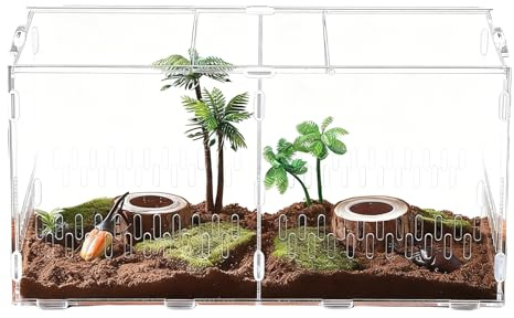 Terrarium araignée en Acrylique Transparent - 40 x 20,5 x 20 cm - avec Couvercle - pour Tortue d'eau, Tortue terrestre, Gecko, Crabe, Sable