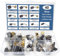 Saipor 40pcs 10 Sizes Electric Motor Carbon Brushes for Replacement Repair Power Tools and Motors Part Such as Electric Hammer Drills, Circular Saws, Angle Grinders