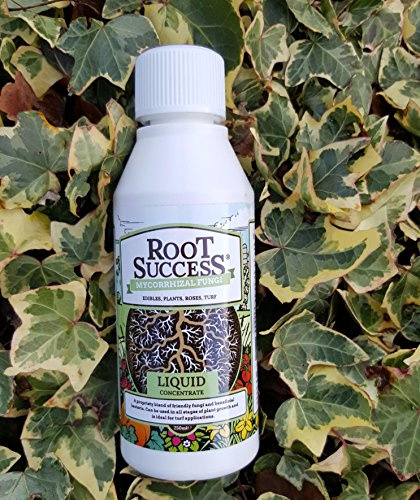Root Success Mycorrhizal Fungi for Lawns