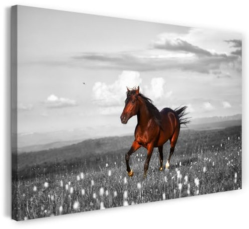 Printistico Leinwandbild (80x60cm) Gallopierendes Pferd auf der Wiese - Tier Fotografie, Natur, echter Holz-Keilrahmen inkl. Aufhänger, handgefertigt in Deutschland