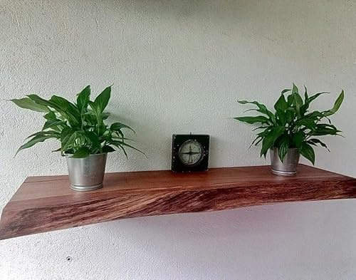 Regal aus massiver Eiche, Dicke 2,5cm, geölte, Naturkante, Baumkante, Wandregal, Wandbord, Ablage an der Wand, Schrankwand, Oberschrank, Hängeschrank (110x25cm)