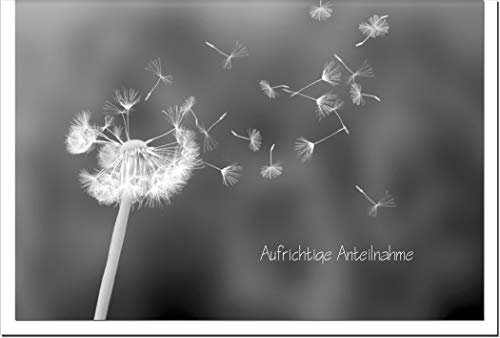 metALUm Trauerkarte ABSCHIED | Pusteblume 3300007