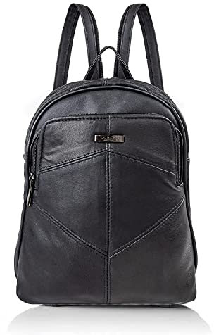 Woodland Leathers women's fashion backpacks small black backpacks for women with anti theft zipper and hand bag handle, 2 in 1 Sling Backpack (Black 2)