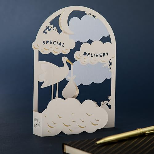 Hallmark Hall & Co New Baby Card 3D & Pop Up Special Delivery Design | For Girl or Boy, Birth, White Stork Design, Gold Foil Details, Keepsake, Fully Recyclable, Measures 17.3cm by 11.9cm