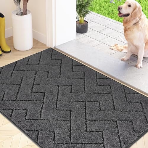 FCSDETAIL Schmutzfangmatte Innen 50 x 80 cm, rutschfeste Fußmatte, waschbar Sauberlaufmatte, absorbierend Türmatte, Fussmatte Teppich für Hund, Eingang, Haustür & Flur