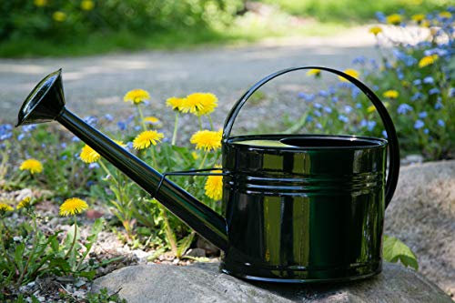 KUHEIGA Gießkanne 5 Liter Schwarz Metall Zinkkanne Verzinkt Kanne 9005 Wasserkanne