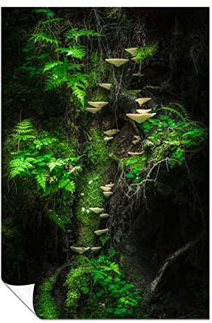 Panther Print Fine Art Prints Green Ferns & Tree Mushrooms Artistic Unframed Poster, Pictures for Home Walls, Bedroom, Living Room & Bathroom Decor 31x20cm (12x8in)