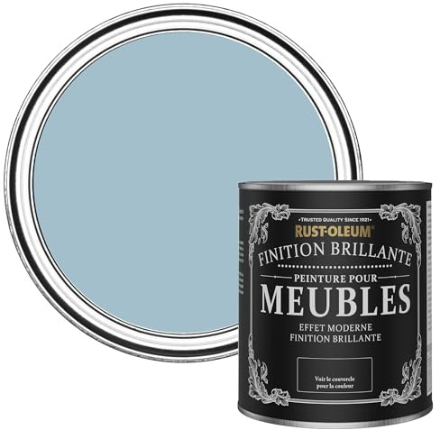 Rust-Oleum Blue Furniture & Skirting Board Paint in Gloss Finish - Nan's Best China 750ML