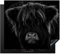 KitchenYeah© Induction Hob Protector Mat 20.5x23.2 / 59x52 cm Stove Cap Top Cover Kitchen Cooker Covers for Electric Hobs Vinyl Scottish Highlander - Cow - Black - White - Animals