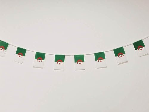 Drapeau Algérie 40pcs Drapeau Algérie Guirlande Algérie 11.4M Fanions Algérie 14x21cm (Algérie)