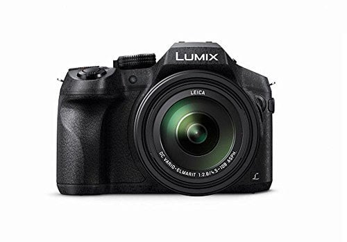 Panasonic LUMIX FZ300 Appareil Photo Pont intégral 4K 12,1 MP avec Design Robuste, Zoom Optique 24 x, Objectif Leica et Wi-FI (DMC-FZ300GNK)