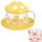 Entonic Cute Mushroom Glass Tea Cup with Infuser and Spoon, Clear Kawaii Teapot with Strainer Filter, Ceramic Lid and Coaster, Heat-Resistant for Home and Office Use, 290ML/9.6oz (Yellow)