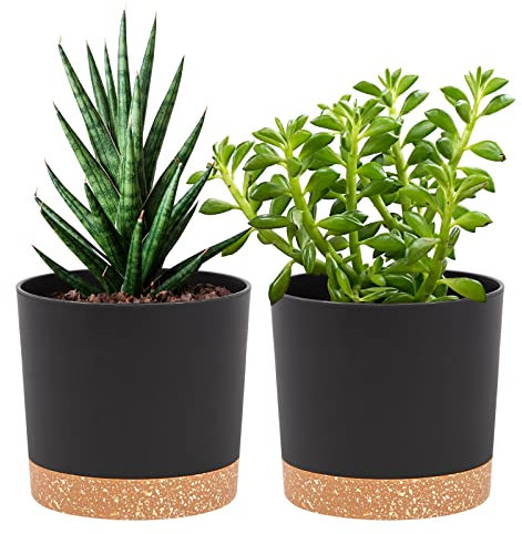 QCQHDU 12.7cm Plant Pot, 2 Pack Planters for Indoor Plants with Drainage Holes & Saucer, Outdoor Flower Pots Home Garden Modern Decor (Dark Grey, 12.7cm)