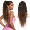 FLUFYMOOZ Ponytail Extension Pferdeschwanz Haarverlängerung, 66 cm, Bohemian-Stil, Pferdeschwanz Haarverlängerung mit Kordelzug für Frauen, langer lockiger, gewellter Pferdeschwanz (Mandelbraun)