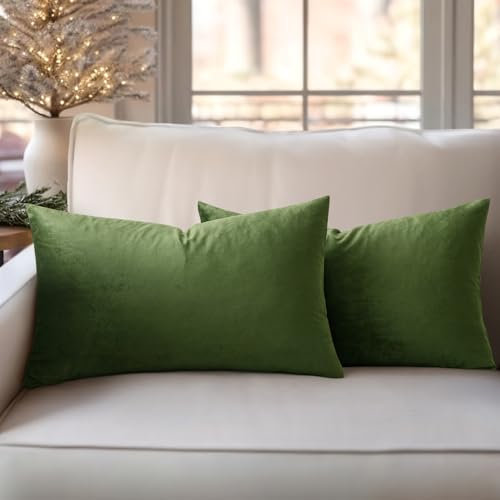 Slozzi 2er Set Samt Kissenbezüge Haushalt Dekokissen Dekorative Kissenhülle Weich Sofakissen für Sofa Schlafzimmer Wohnzimmer 30x50 cm Matcha Grün