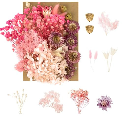 Fleurs séchées, Fleurs pressées, Fleurs séchées, Fleurs séchées, Artisanat pour Bricolage, Arts, résine, Scrapbooking, Fabrication de Bijoux, décorations Florales (Rose)