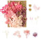 Fleurs séchées, Fleurs pressées, Fleurs séchées, Fleurs séchées, Artisanat pour Bricolage, Arts, résine, Scrapbooking, Fabrication de Bijoux, décorations Florales (Rose)