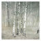 Bilderwelten Fototapete Wald 240 x 240 cm Vlies-Tapete XXL Waldtapete Ruhender Birkenwald Smart Wandtapete Wanddekoration Wohnzimmer Schlafzimmer