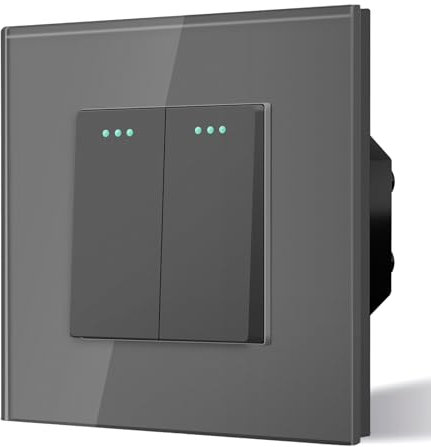 BSEED Interrupteur à Bascule Bouton Poussoir Applique Murale Interrupteur MéCanique 10A 250V Plaque De Cristal Trempé Gris 2 Gang 1 Voie Interrupteur D'éClairage Sans Vis