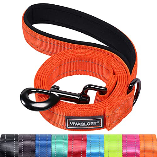 VIVAGLORY Dailyx Hundeleine, Welpenleine Hausleine Joggingleine Für Hunde, Hundeleine mit Schlaufe Und Gepolstertem Griff, Reflektierend & Gepolstert, 180 x 2.5cm, Orange