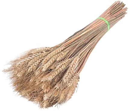 100PCS Dry Wheat Grass Bouquet Dried Wheat Sheaves Stalks Natural Wheat Dried Grasses Bundle for Home Decorarion