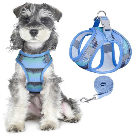 Pawsailor Step-In Hundegeschirr-Leinen-Set, Anti-Zug Welpengeschirr, Verstellbar, Atmungsaktiv, Leicht, Mit Druckmuster, Ausbruchsicheres Hundegeschirr, Reflektierend Leicht zu tragen, Blau M