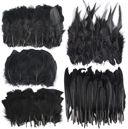 JIANGZHIB 350 Stück Schwarze Federn, Kunsthandwerk Federn Schwarz, 5 Arten Von Federn Zum Basteln, Federn Basteln Schwarz für Hochzeit, Zuhause, Ohrringe, Traumfänger Schwarz Deko Federn