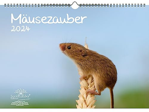 Mäusezauber DIN A3 Kalender für 2024 Mäuse - Geschenkset Inhalt: 1x Kalender, 1x Weihnachts- und 1x Grußkarte (insgesamt 3 Teile)