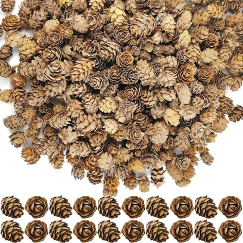 TIHOOD 160PCS 1.18-1.97 Christmas Natural Mini Pine Cones-Thanksgiving Pine Cones Ornaments for DIY Crafts, Home Decorations,Fall and Christmas,Wedding Decor